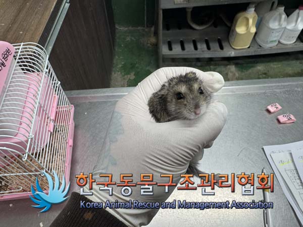 한국동물구조관리협회_441392202500023